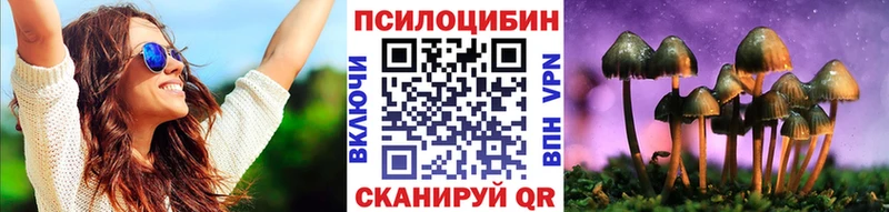 ссылка на мегу ТОР Белокуриха Псилоцибиновые грибы MAGIC MUSHROOMS как найти закладки