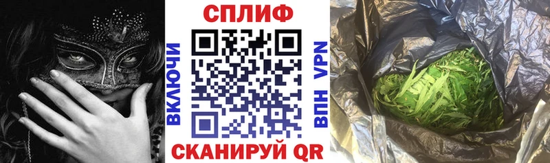 сколько стоит  Белокуриха  Бошки марихуана сатива 